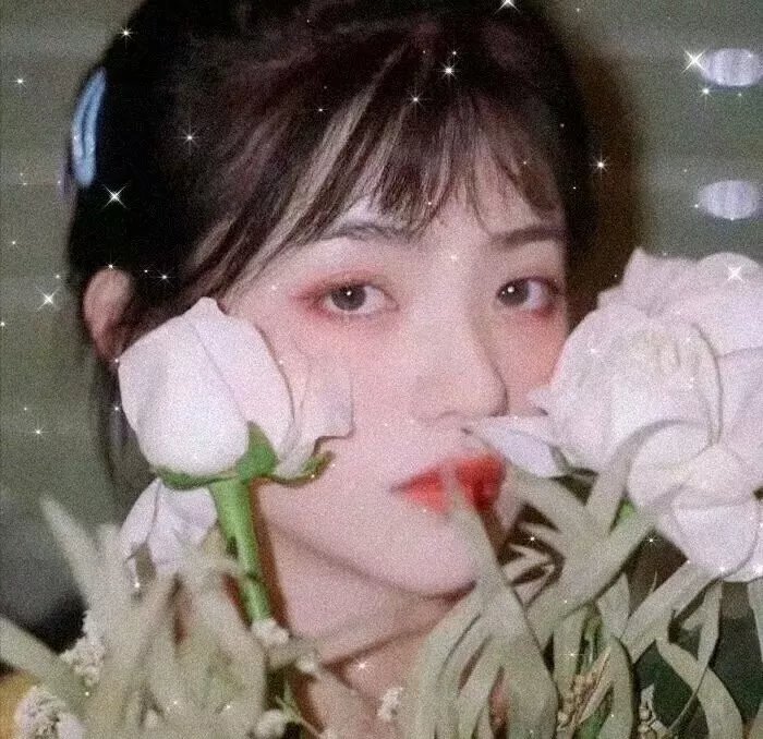 风尘三侠之红拂女 海报