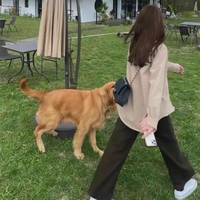 她不知道那些鸟的名字 海报